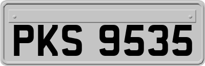 PKS9535