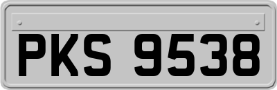 PKS9538