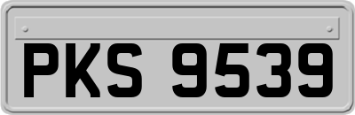 PKS9539