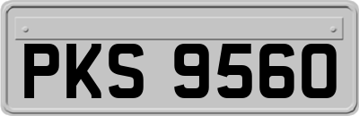 PKS9560