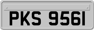 PKS9561