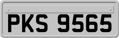PKS9565