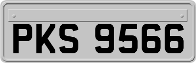 PKS9566