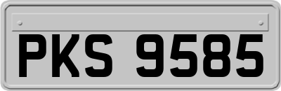 PKS9585