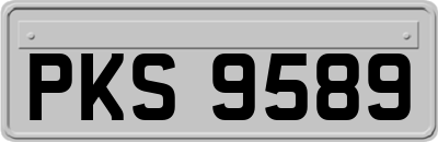 PKS9589