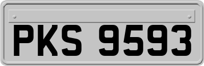 PKS9593