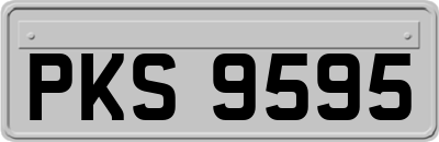 PKS9595