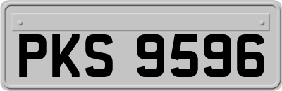 PKS9596