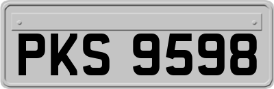 PKS9598