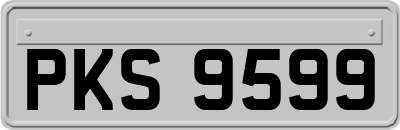 PKS9599