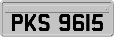PKS9615