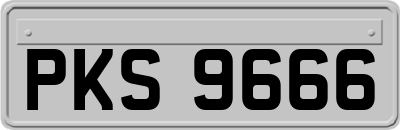 PKS9666