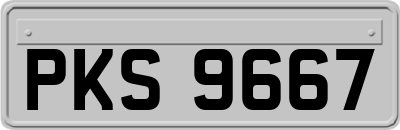 PKS9667