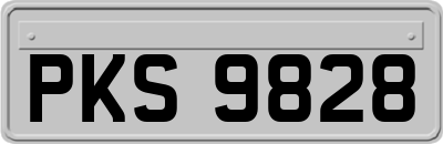 PKS9828