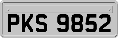 PKS9852