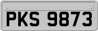 PKS9873