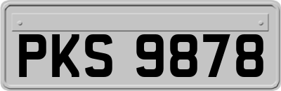PKS9878