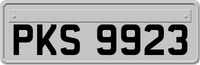 PKS9923