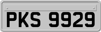 PKS9929