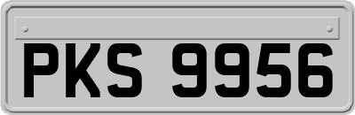 PKS9956