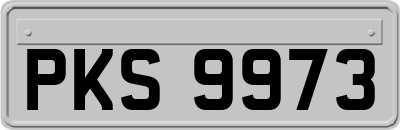 PKS9973