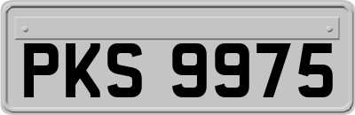 PKS9975