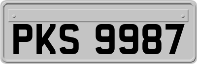 PKS9987