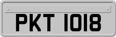 PKT1018