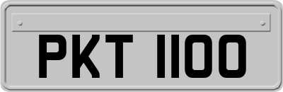 PKT1100