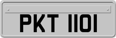 PKT1101