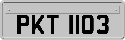 PKT1103