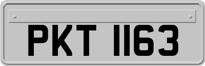 PKT1163