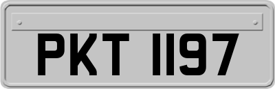 PKT1197