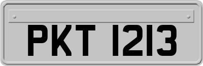PKT1213