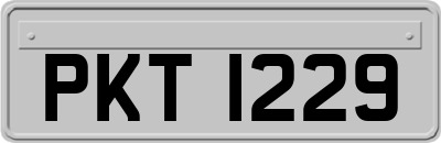 PKT1229