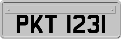 PKT1231
