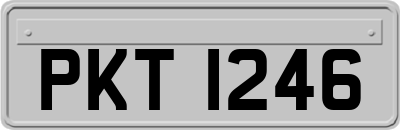 PKT1246
