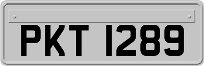 PKT1289