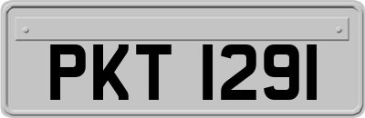 PKT1291