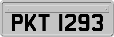 PKT1293
