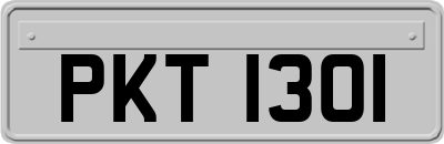 PKT1301