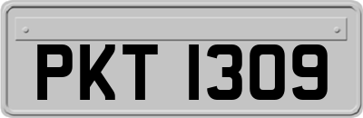 PKT1309
