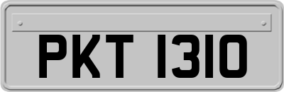 PKT1310