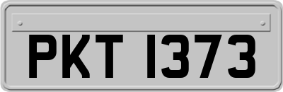 PKT1373