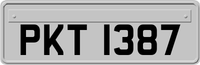 PKT1387