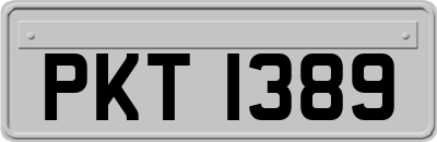 PKT1389