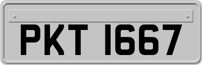 PKT1667