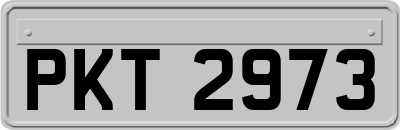 PKT2973