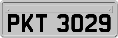 PKT3029