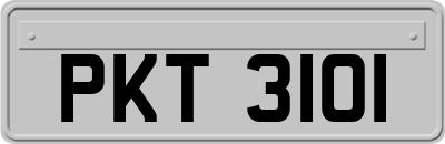 PKT3101